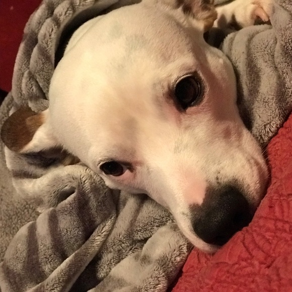 Clothes horse wanting to share! - Picture 4 of 4